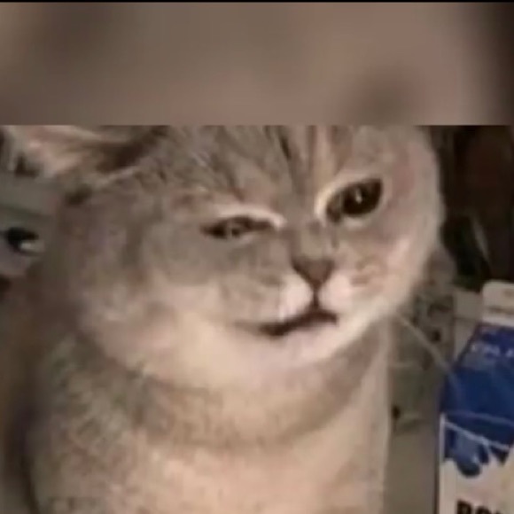 Meet your Posher, Sean - Picture 1 of 1